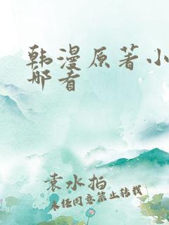 韩漫原著小说在哪看