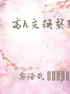 高h交换系列