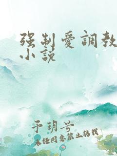 强制爱调教男男小说