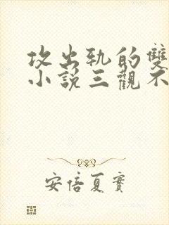 攻出轨的双男主小说三观不正