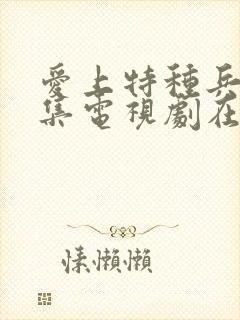 爱上特种兵40集电视剧在线观看