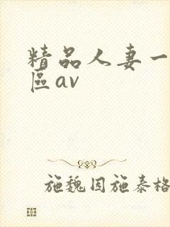 精品人妻一区二区av