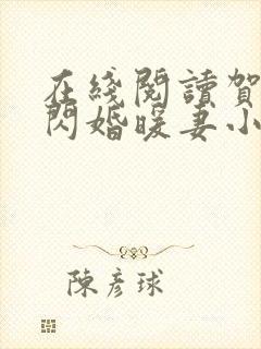 在线阅读贺少的闪婚暖妻小说