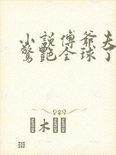小说傅爷夫人又惊艳全球了txt