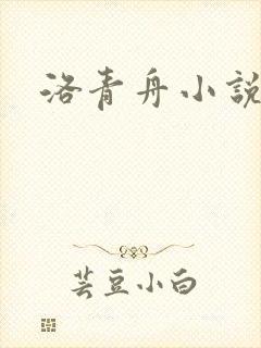 洛青舟小说
