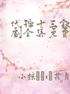 代号十三钗电视剧全集免费观看