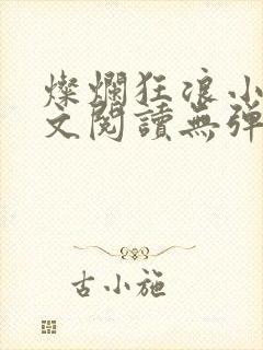 灿烂狂浪小说全文阅读无弹窗