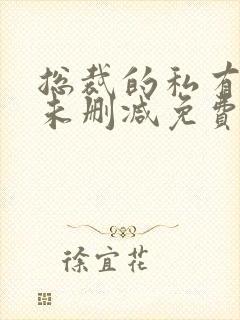 总裁的私有宝贝未删减免费阅读