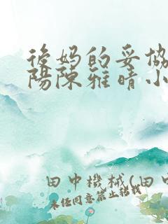 后妈的妥协李小阳陈雅晴小说