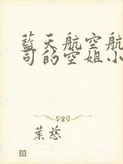 蓝天航空航天公司的空姐小说