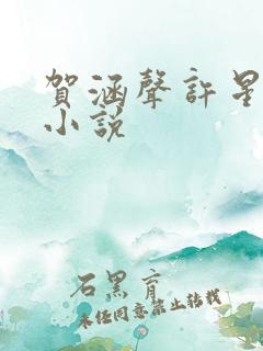 贺涵声许星染的小说