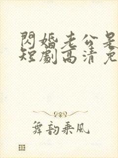闪婚老公是豪门短剧高清免费播放