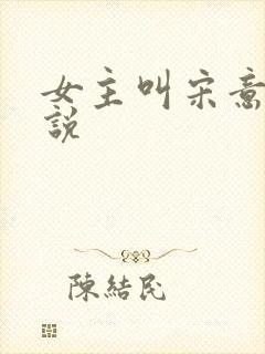 女主叫宋意的小说