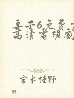 妻子6免费完整高清电视剧在线看