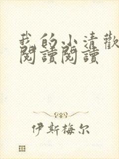 我的小清欢全文阅读阅读