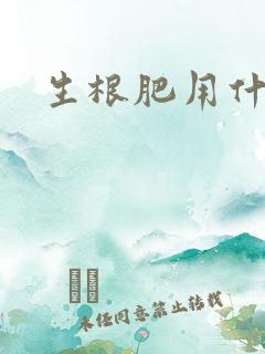 生根肥用什么好
