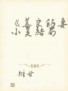 《善良的妻子》小美结局