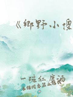 《乡野小傻医》