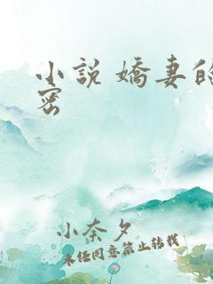 小说 娇妻的秘密