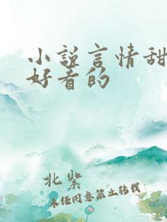 小说言情甜宠超好看的
