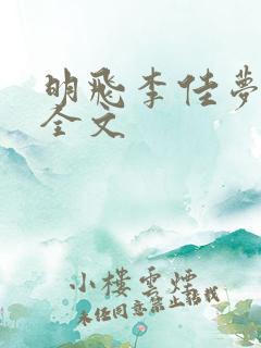 明飞李佳梦小说全文