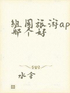 组团旅游app哪个好
