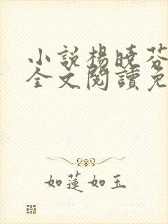 小说杨晓芬王磊全文阅读免费