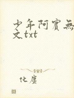少年阿宾无删全文txt