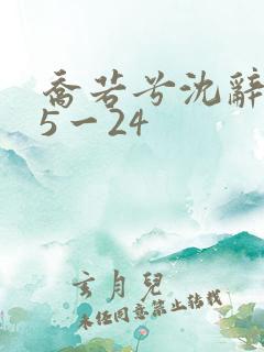 乔若兮沈辞安15一24