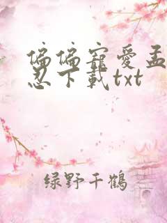 偏偏宠爱孟听江忍下载txt