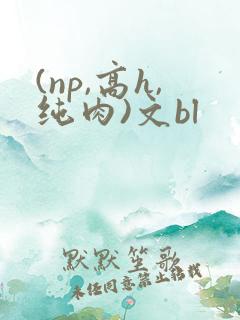 (np,高h,纯肉)文bl