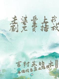 老婆爱上我电视剧免费播放