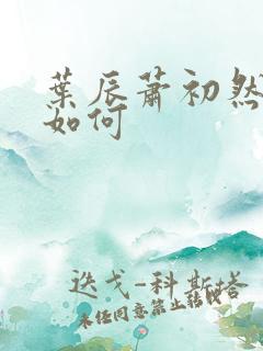 叶辰萧初然结局如何
