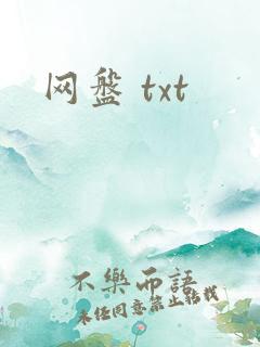 网盘 txt