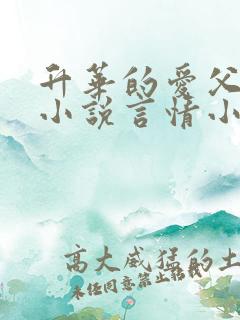 升华的爱父女恋小说言情小说