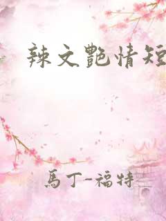 辣文艳情短篇