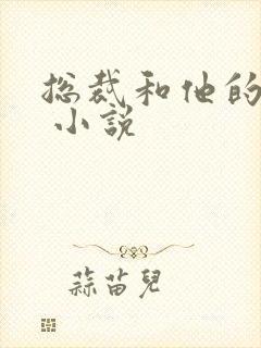 总裁和他的秘书 小说