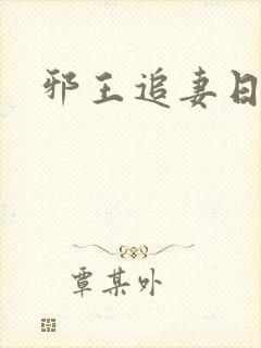 邪王追妻日日忙