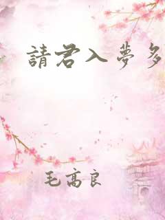 请君入梦多少集