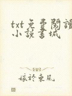 txt免费阅读小说书城