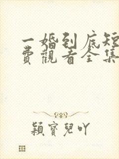 一婚到底短剧免费观看全集高清