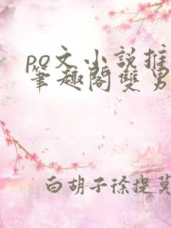 po文小说推荐笔趣阁双男主
