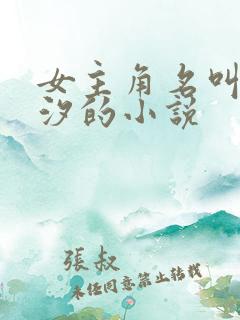 女主角名叫苏若汐的小说