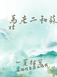 马老二和苏玥txt