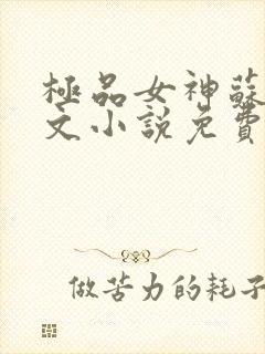 极品女神苏晴全文小说免费阅读