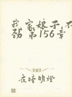 我家娘子,不对劲 第156章