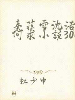 秦菲雪沈浩一生何求小说300章