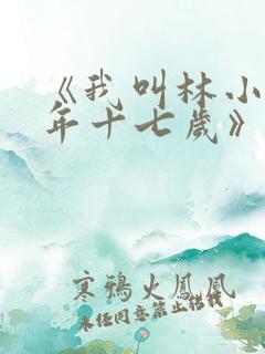 《我叫林小喜今年十七岁》