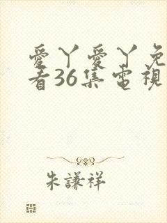 爱丫爱丫免费观看36集电视连续剧