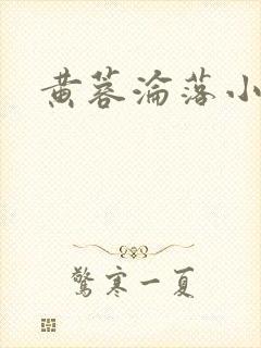 黄蓉沦落小说